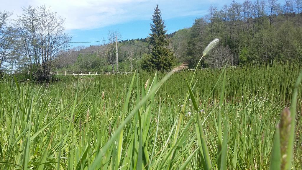 Camping De Flechat Hotel Orcival Kültér fotó