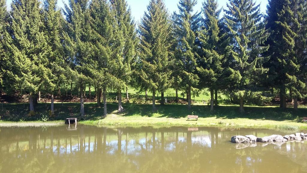 Camping De Flechat Hotel Orcival Kültér fotó