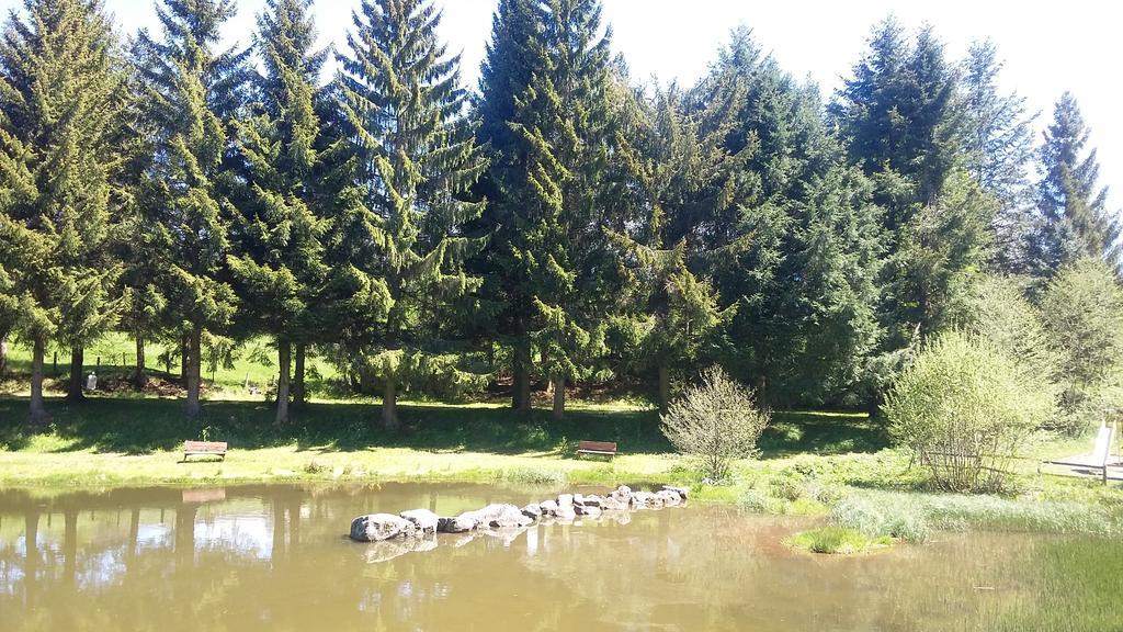 Camping De Flechat Hotel Orcival Kültér fotó